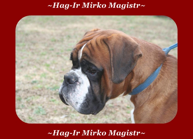 Hag-Ir Mirko Magistr