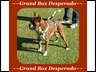 Grand Box Desperado